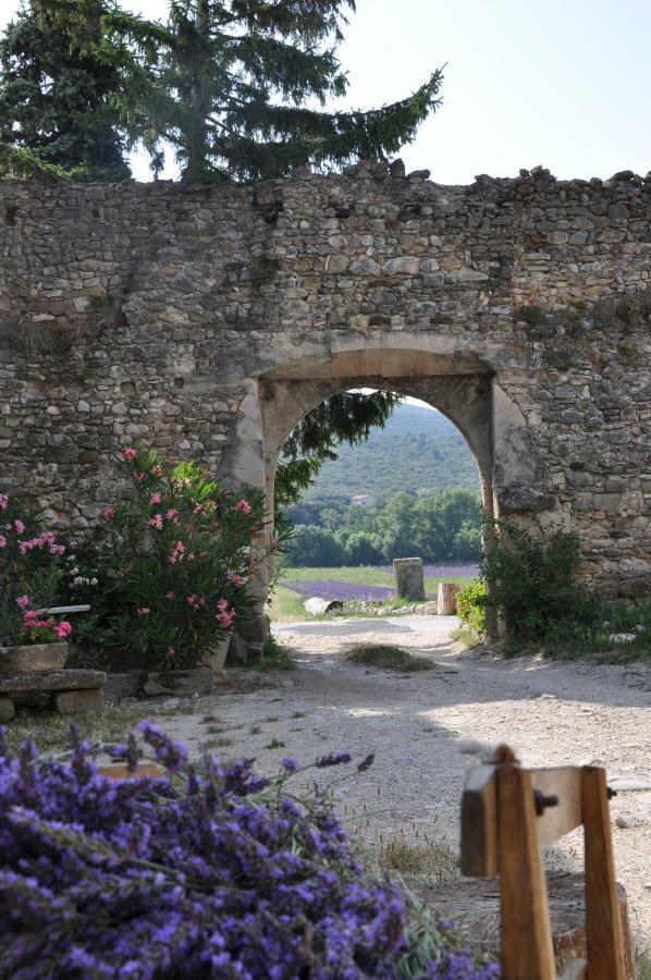 Gites Du Chateau D'Alencon Le Pegue Ngoại thất bức ảnh