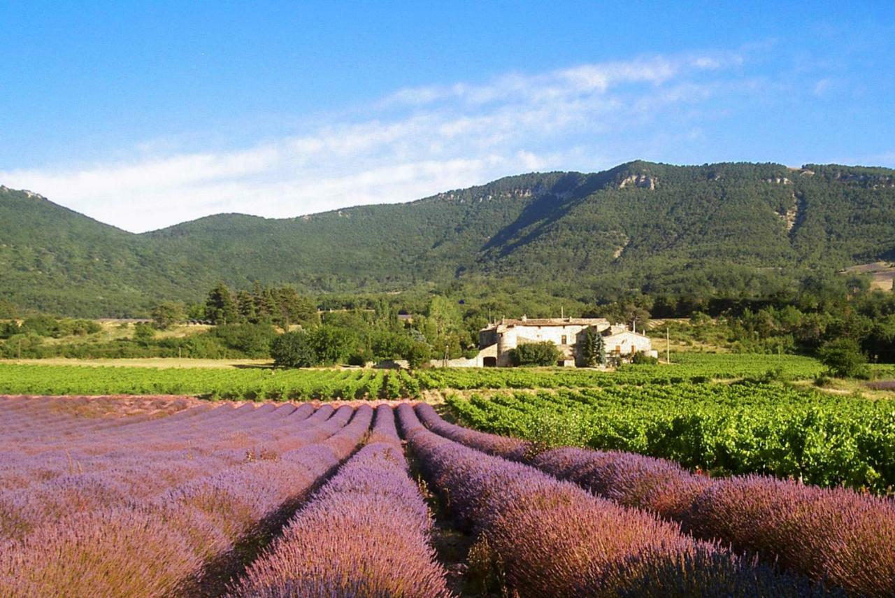 Gites Du Chateau D'Alencon Le Pegue Ngoại thất bức ảnh